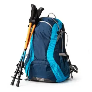 Traveling Backpack
